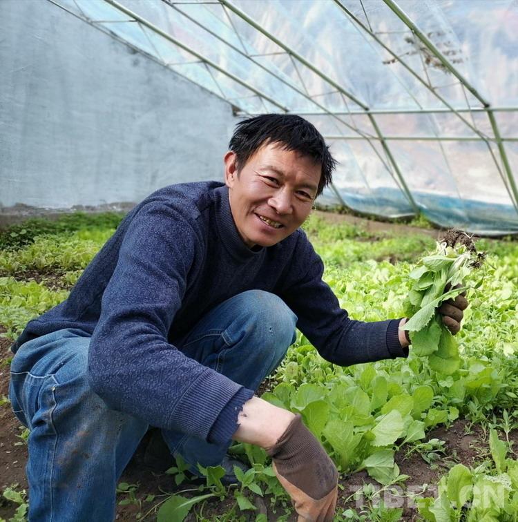 肯通乡新项目，乡村发展的强大引擎驱动力