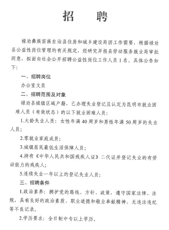 洞托村最新招聘信息及就业机遇探讨