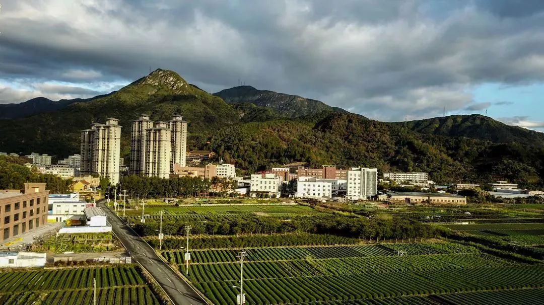 丽岙街道最新天气预报