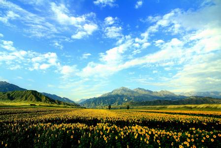 沙湾社区村天气预报更新通知