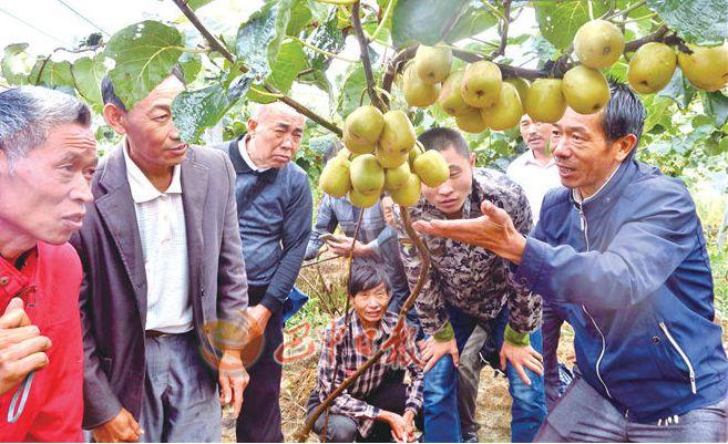 碑梁村交通升级，道路改造助力村民便捷出行