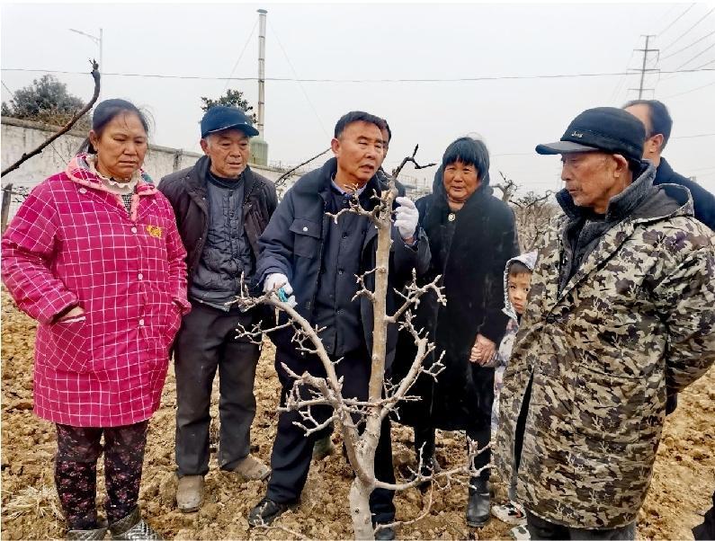 铁山区农业农村局最新发展规划概览