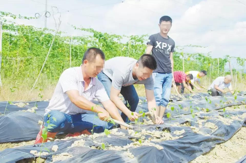 恩平市康复事业单位最新新闻