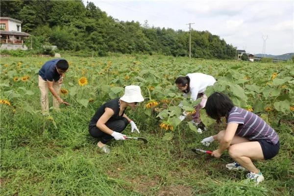 七星村最新交通新闻，交通优化升级，七星村焕发新活力