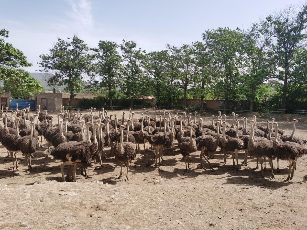 泾阳县文化广电体育和旅游局领导团队最新概况简介