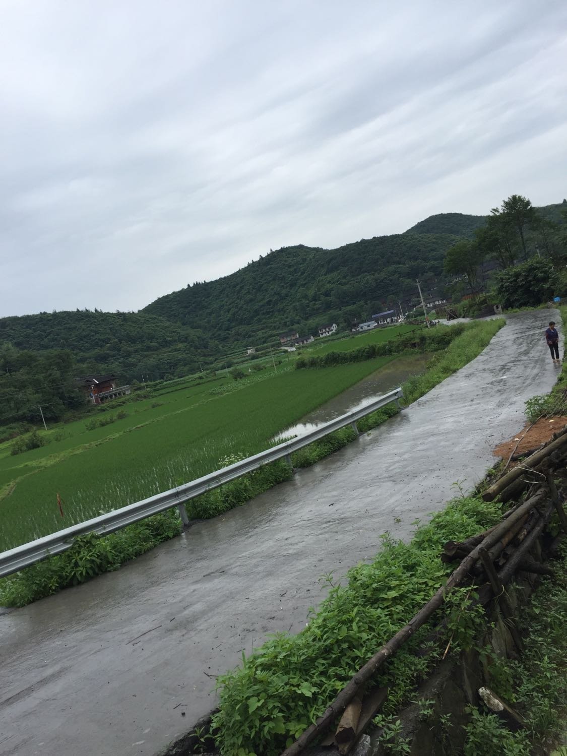 新生村最新天气预报