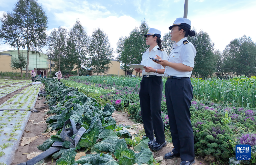 塘巴村最新新闻报道概览